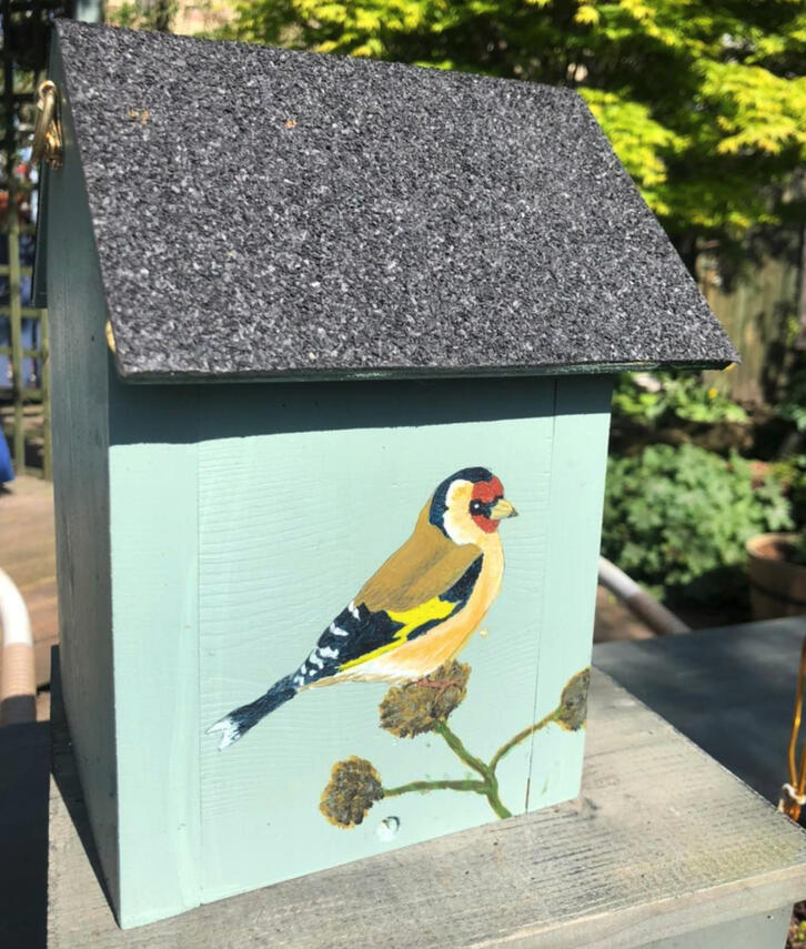 Bird Box Bird Box
